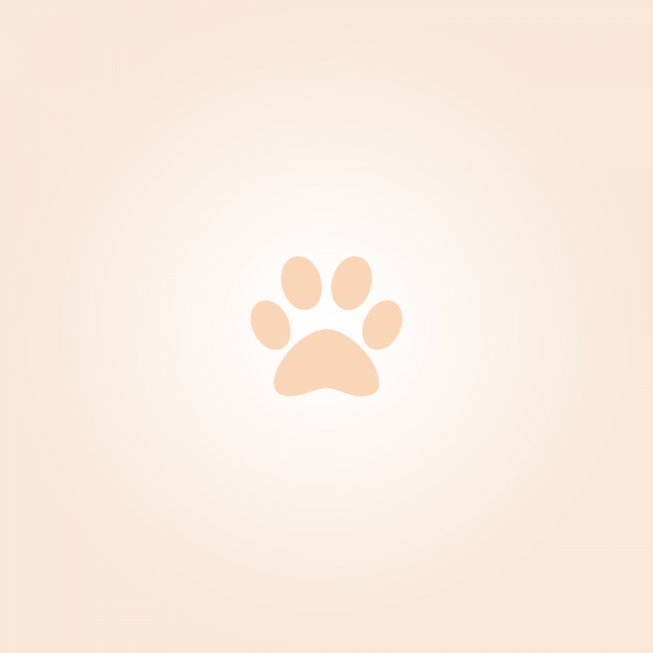 Zuni Rolls with Raspberry Chipotle Sauce